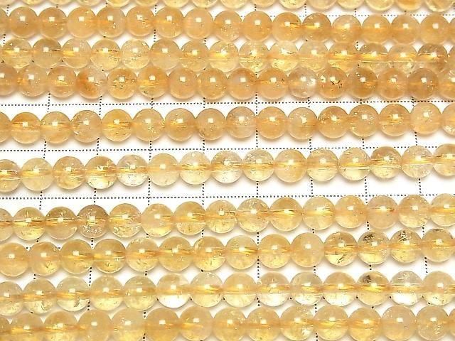 ưۥȥAA++ 饦6mm ڥ饤ȥ顼 ȾϢ/1Ϣ(38cm) ͥ3