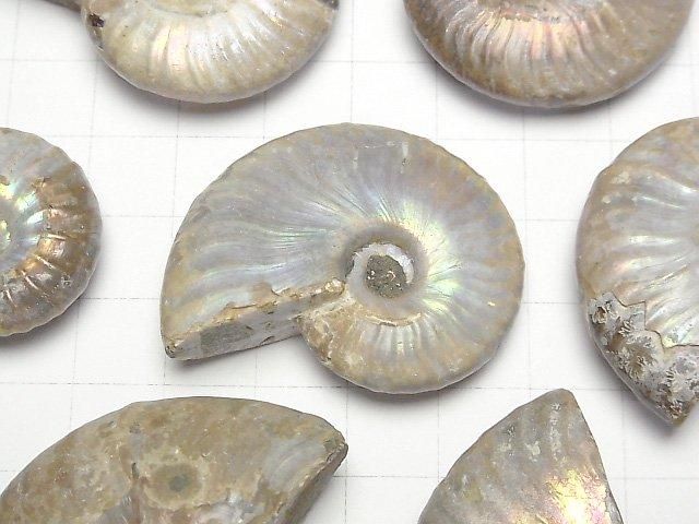 【動画】マダガスカル産アンモナイトの化石 2個 サムネイル2