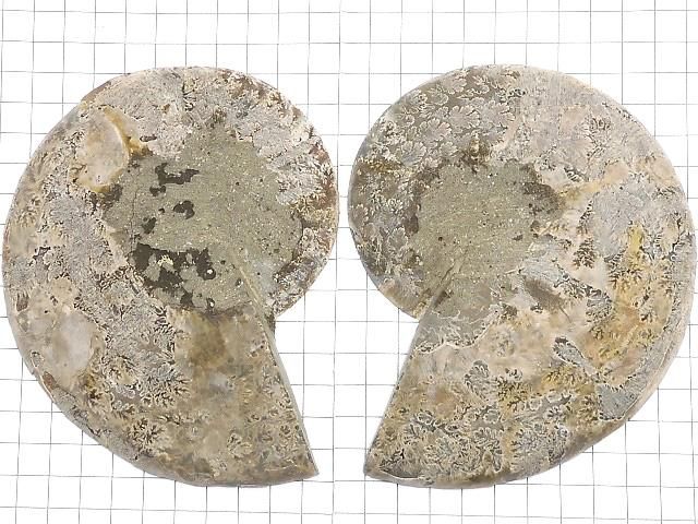 【動画】【1点もの】マダガスカル産アンモナイトの化石 2個(ペア) NO.8 サムネイル2