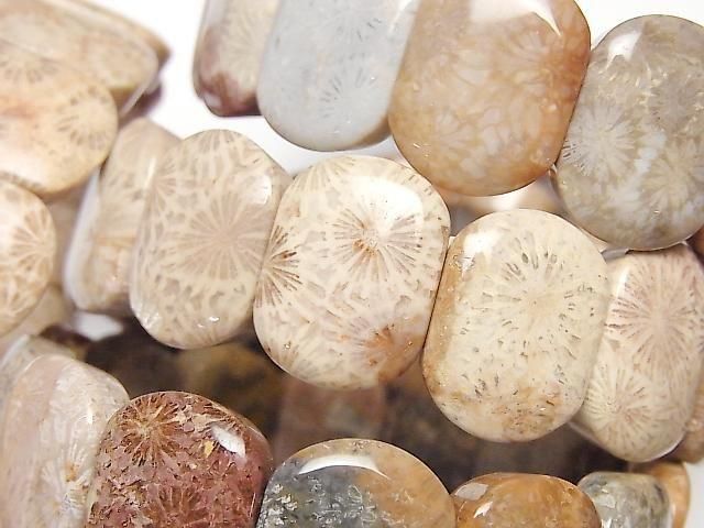 【動画】フォシルコーラル(化石珊瑚) 2つ穴オーバル20×15mm 1連(バングルブレス)の画像