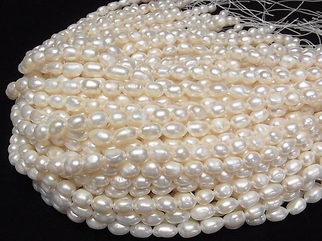 ưø忿AA Хå9~13mm ۥ磻 1Ϣ(33cm) ͥ4