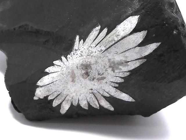 【動画】【1点もの】菊花石 原石 1個 NO.11の画像
