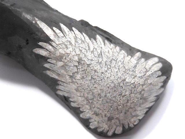 【動画】【1点もの】菊花石 原石 1個 NO.14の画像