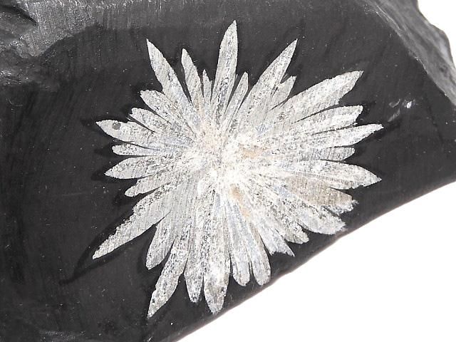 【動画】【1点もの】菊花石 原石 1個 NO.25の画像
