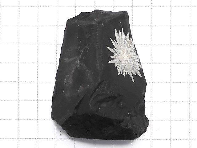【動画】【1点もの】菊花石 原石 1個 NO.25 サムネイル2