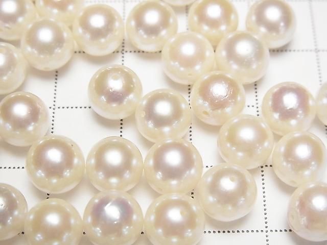 ưۡγ۹񻺥俿AAA- 饦8~8.5mm ۥ磻 ڴ̷ 1γ ͥ2