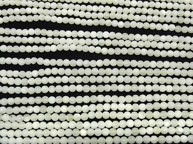 եȥ˥塼 饦4mm 1Ϣ(34cm) ͥ3