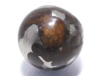 ưۡ1Ρۥ˥ꥳѥ饵 ե饦16mm 1 NO.1