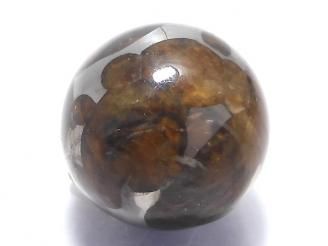 ưۡ1Ρۥ˥ꥳѥ饵 ե饦16mm 1 NO.2