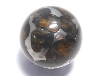ưۡ1Ρۥ˥ꥳѥ饵 ե饦16mm 1 NO.3