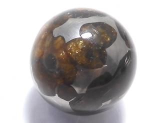 ưۡ1Ρۥ˥ꥳѥ饵 ե饦16mm 1 NO.7