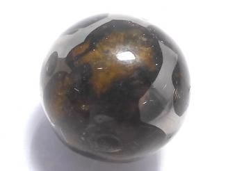 ưۡ1Ρۥ˥ꥳѥ饵 ե饦16mm 1 NO.8