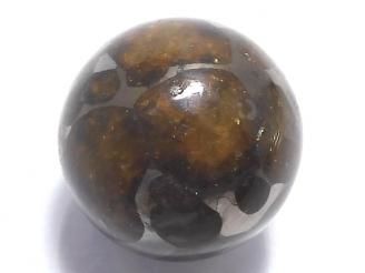ưۡ1Ρۥ˥ꥳѥ饵 ե饦16mm 1 NO.9