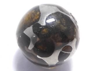 ưۡ1Ρۥ˥ꥳѥ饵 ե饦16mm 1 NO.11