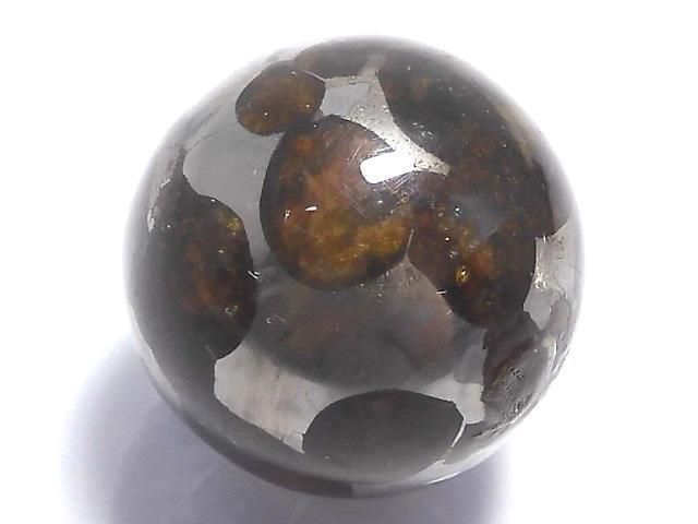 ưۡ1Ρۥ˥ꥳѥ饵 ե饦16mm 1 NO.13β