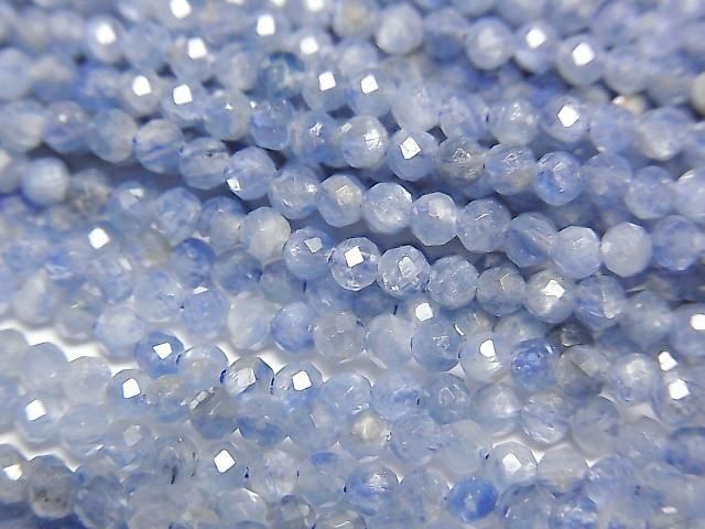 ưۡ餷ۥʥAAA- ˾饦ɥå2mm 1Ϣ(38cm)
β