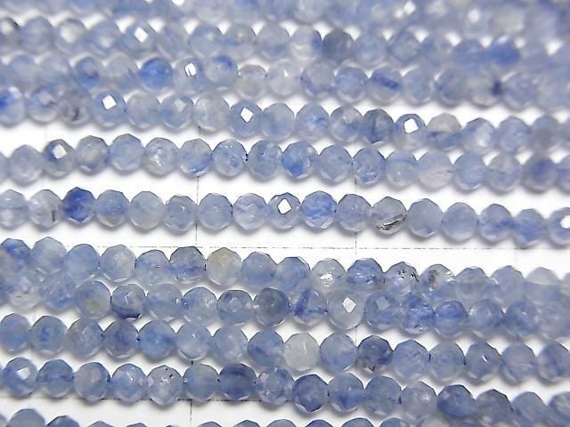 ưۡ餷ۥʥAAA- ˾饦ɥå2mm 1Ϣ(38cm)
 ͥ2