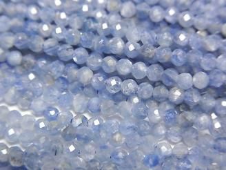 ưۡ餷ۥʥAAA- ˾饦ɥå2mm 1Ϣ(38cm)

