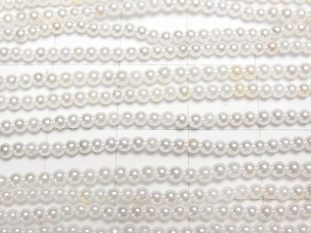 ư۳ѡ ۥ磻 饦2mm 1Ϣ(38cm) ͥ2
