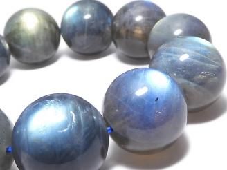 ưۡ1Ρۥ֥ɥ饤AAA- 饦19.5mm 1Ϣ(֥쥹) NO.1
