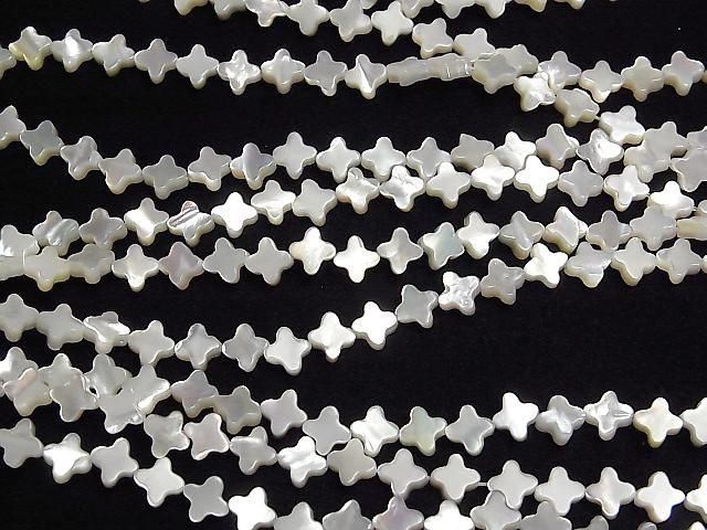 ư۹ʼۥ磻ȥ(ĳ)AAA ե66mm ȾϢ/1Ϣ(36cm) ͥ3