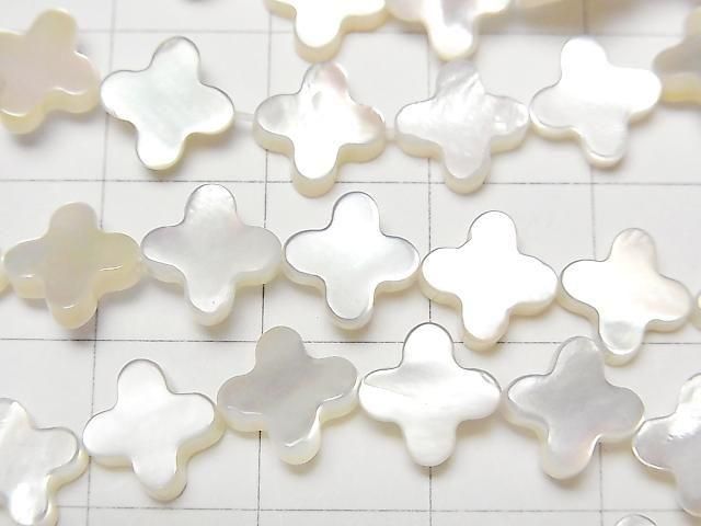 ư۹ʼۥ磻ȥ(ĳ)AAA ե88mm ȾϢ/1Ϣ(36cm) ͥ2