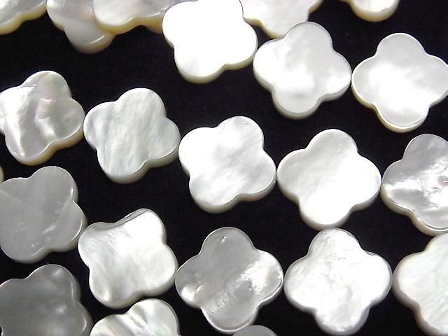 ư۹ʼۥ磻ȥ(ĳ)AAA ե1212mm ȾϢ/1Ϣ(36cm)β