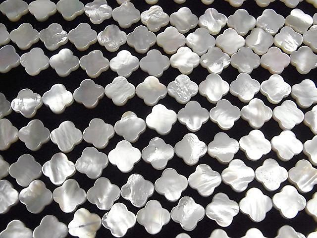 ư۹ʼۥ磻ȥ(ĳ)AAA ե1212mm ȾϢ/1Ϣ(36cm) ͥ3