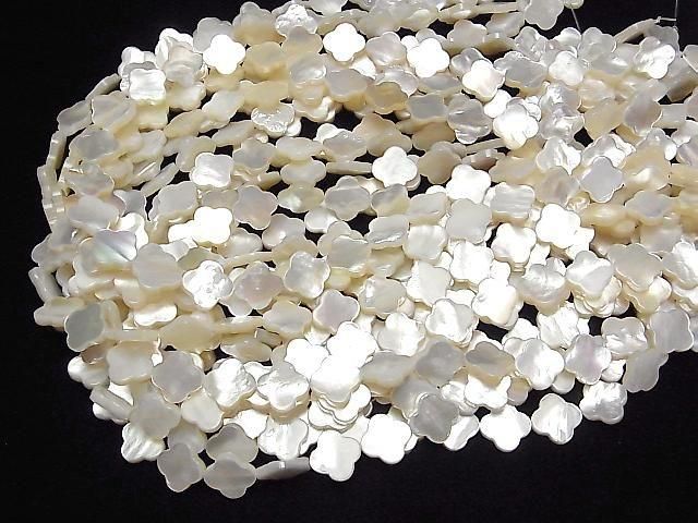 ư۹ʼۥ磻ȥ(ĳ)AAA ե1212mm ȾϢ/1Ϣ(36cm) ͥ4