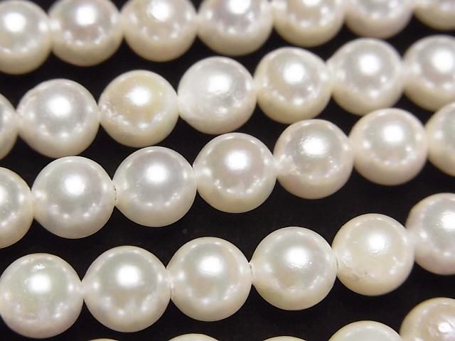 ư۹񻺥俿AAA- ߥ饦6~6.5mm ۥ磻 ȾϢ/1Ϣ(38cm)β