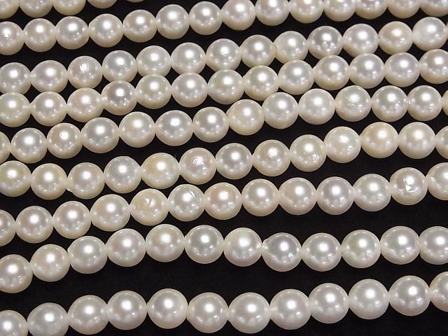 ư۹񻺥俿AAA- ߥ饦6~6.5mm ۥ磻 ȾϢ/1Ϣ(38cm) ͥ3