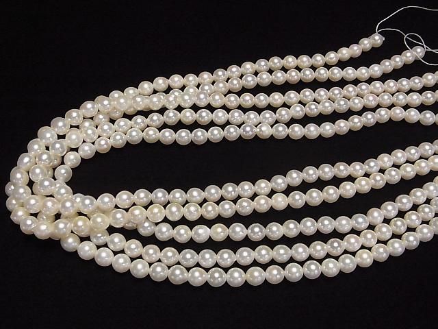 ư۹񻺥俿AAA- ߥ饦6~6.5mm ۥ磻 ȾϢ/1Ϣ(38cm) ͥ4