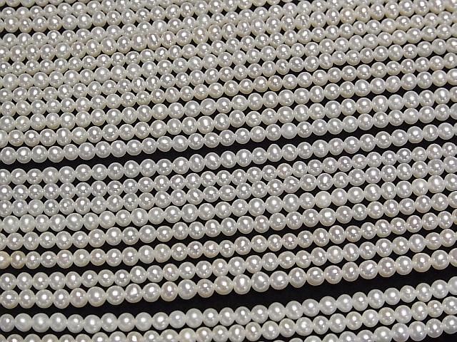 ưø忿AAA ߥ饦3mm ۥ磻 ȾϢ/1Ϣ(37cm) ͥ3