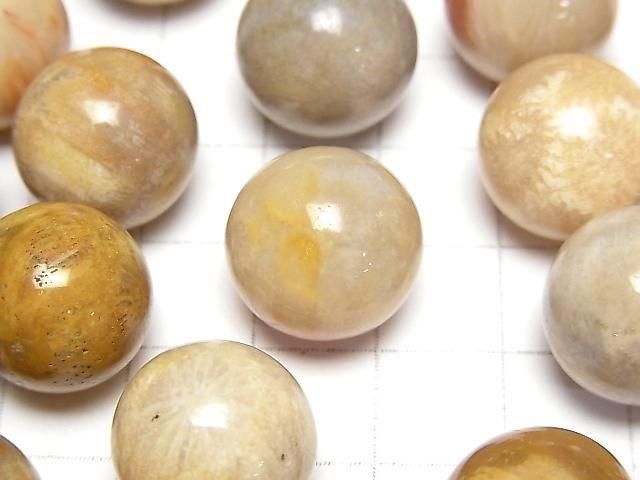 【動画】フォシルコーラル(化石珊瑚) スフィア・ラウンド15mm 5個 サムネイル2