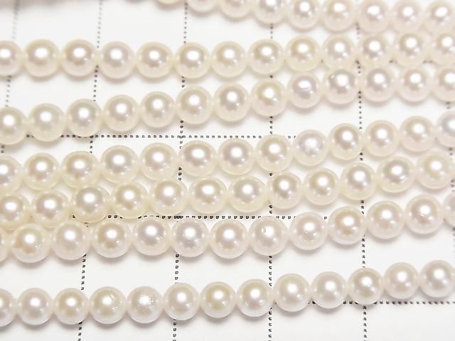 ư۹񻺥俿AAA- 饦4~4.5mm ۥ磻 1/4Ϣ~1Ϣ(38cm) ͥ2