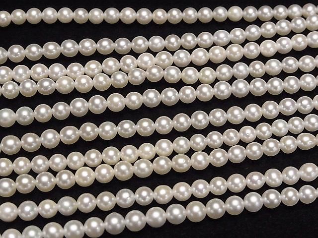 ư۹񻺥俿AAA- 饦4~4.5mm ۥ磻 1/4Ϣ~1Ϣ(38cm) ͥ3