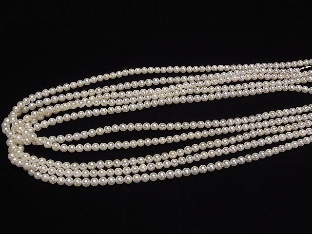 ư۹񻺥俿AAA- 饦4~4.5mm ۥ磻 1/4Ϣ~1Ϣ(38cm) ͥ4