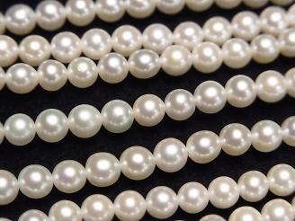 ư۹񻺥俿AAA- 饦4~4.5mm ۥ磻 1/4Ϣ~1Ϣ(38cm)