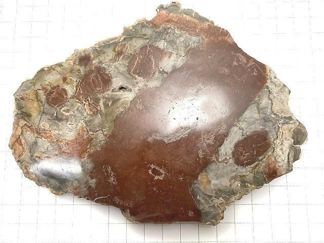 【動画】【1点もの】ペトリファイドウッド(珪化石) 原石スライス NO.30 サムネイル2