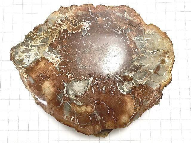 【動画】【1点もの】ペトリファイドウッド(珪化石) 原石スライス NO.32 サムネイル2