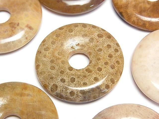 【動画】フォシルコーラル(化石珊瑚) コイン(ドーナツ)30×30mm 2枚の画像