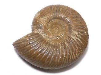 ưۡ1ΡۥʥȤβ 1 NO.102