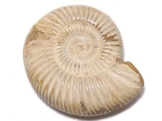 ưۡ1ΡۥʥȤβ 1 NO.103