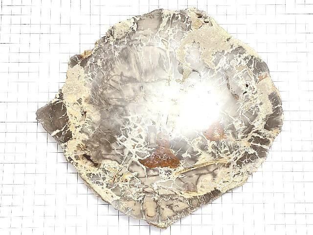 【動画】【1点もの】ペトリファイドウッド(珪化石) 原石スライス NO.34 サムネイル2