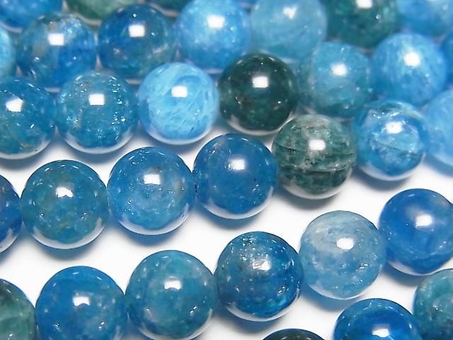 ưۥ֥롼ѥAA++ 饦8mm ȾϢ/1Ϣ(37cmˤβ