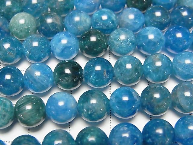 ưۥ֥롼ѥAA++ 饦8mm ȾϢ/1Ϣ(37cm ͥ2