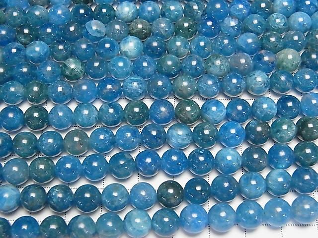 ưۥ֥롼ѥAA++ 饦8mm ȾϢ/1Ϣ(37cm ͥ3