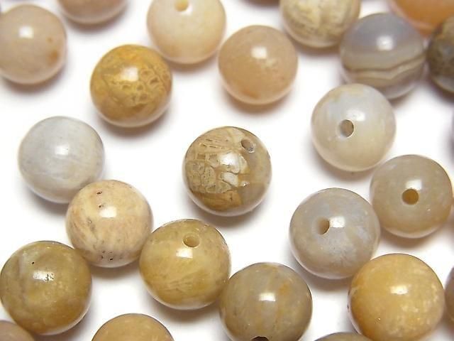 【動画】フォシルコーラル(化石珊瑚) 片穴ラウンド8.5mm 6個の画像