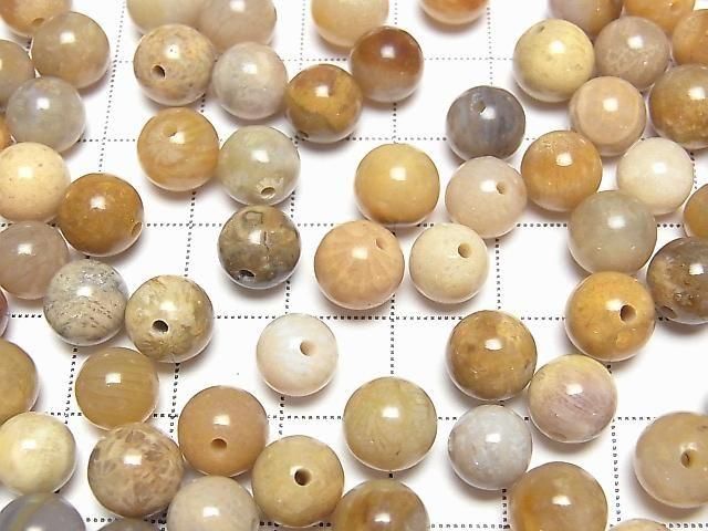【動画】フォシルコーラル(化石珊瑚) 片穴ラウンド8.5mm 6個 サムネイル3