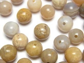 ưۥե륳(л) ҷ饦8.5mm 6